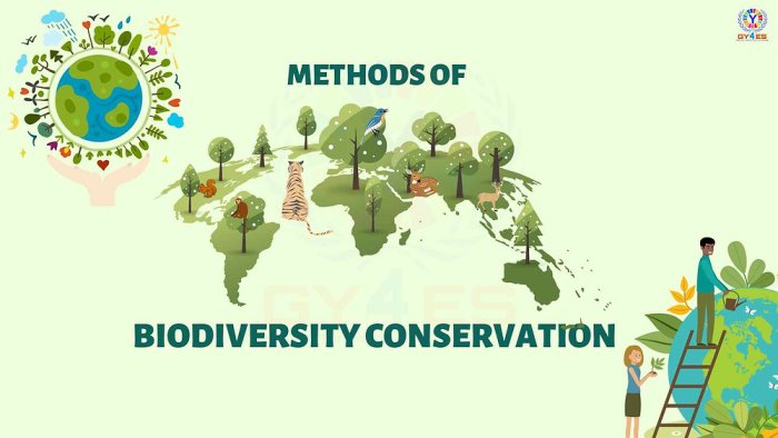 The Importance of Biodiversity: Understanding the Critical Role of ...